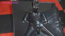 Xiaomeng Has a New Vacuum Bed 2